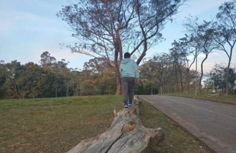 Imagem Correta